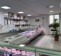 Prievidza Commercial premises Sale reality Prievidza