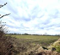 Veľké Dvorníky Agrarian and forest land Sale reality Dunajská Streda