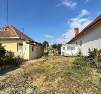 Sasinkovo Family house Sale reality Hlohovec