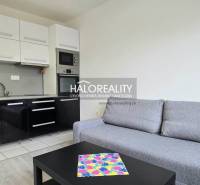 Galanta Single studio Rent reality Galanta