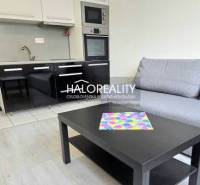 Galanta Single studio Rent reality Galanta