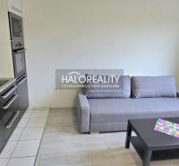 Galanta Single studio Rent reality Galanta