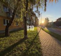 Nitra One bedroom apartment Sale reality Nitra