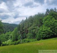 Záriečie Agrarian and forest land Sale reality Púchov