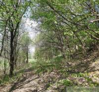 Dolné Kočkovce Agrarian and forest land Sale reality Púchov