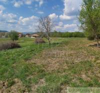 Dolné Kočkovce Agrarian and forest land Sale reality Púchov