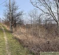 Jablonov nad Turňou Agrarian and forest land Sale reality Rožňava