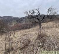 Jablonov nad Turňou Agrarian and forest land Sale reality Rožňava