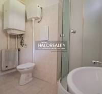 Handlová One bedroom apartment Sale reality Prievidza