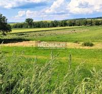 Hrnčiarske Zalužany Land – for living Sale reality Poltár