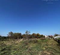 Dolný Bar Land – for living Sale reality Dunajská Streda