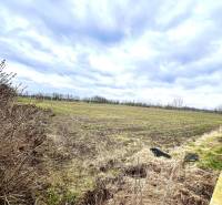 Veľké Dvorníky Agrarian and forest land Sale reality Dunajská Streda