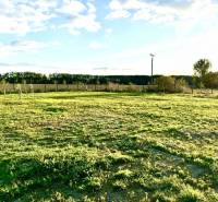 Horné Mýto Land – for living Sale reality Dunajská Streda