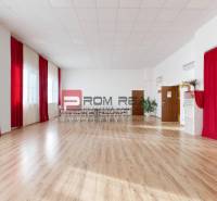 Commercial premises Rent reality Bratislava III