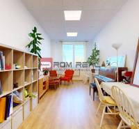 Commercial premises Rent reality Bratislava III