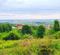 Limbach Land – for living Sale reality Pezinok