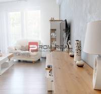 Senec One bedroom apartment Rent reality Senec