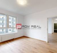 Two bedroom apartment Rent reality Bratislava III