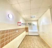 Rohovce Commercial premises Rent reality Dunajská Streda