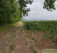 Pezinok Agrarian and forest land Sale reality Pezinok