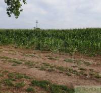 Pezinok Agrarian and forest land Sale reality Pezinok