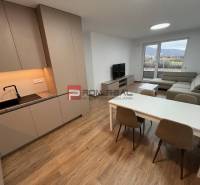 One bedroom apartment Sale reality Bratislava IV