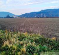 Trenčianske Bohuslavice Agrarian and forest land Sale reality Nové Mesto nad Váhom