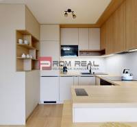 One bedroom apartment Rent reality Bratislava II