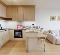 One bedroom apartment Rent reality Bratislava II