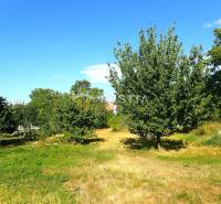 Štefanov Land – for living Sale reality Senica