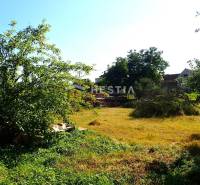 Štefanov Land – for living Sale reality Senica