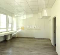 Senica Commercial premises Rent reality Senica