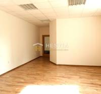 Senica Offices Rent reality Senica