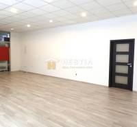 Senica Offices Rent reality Senica