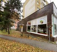 Senica Commercial premises Rent reality Senica