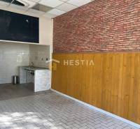 Senica Commercial premises Rent reality Senica