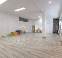 Senica Commercial premises Rent reality Senica