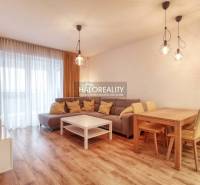 Častkovce Three bedroom apartment Rent reality Nové Mesto nad Váhom