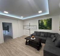 Opatovce nad Nitrou Family house Rent reality Prievidza