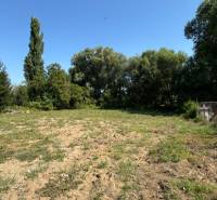 Alekšince Land – for living Sale reality Nitra