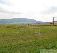 Bardejov Agrarian and forest land Sale reality Bardejov