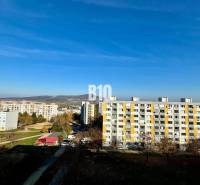 Nitra Studio Sale reality Nitra