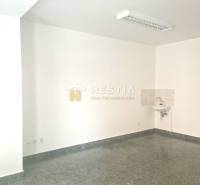 Senica Commercial premises Rent reality Senica