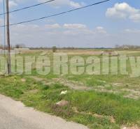 Nesvady Land – for living Sale reality Komárno