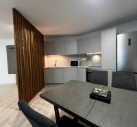 Rent One bedroom apartment, One bedroom apartment, Eduarda Wenzla, Bra