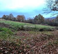 Prievidza Land – for living Sale reality Prievidza