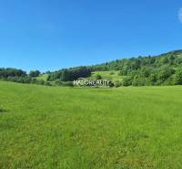 Potok Land – for living Sale reality Ružomberok