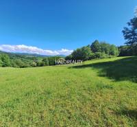 Potok Land – for living Sale reality Ružomberok