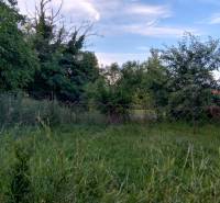 Cabaj-Čápor Land – for living Sale reality Nitra