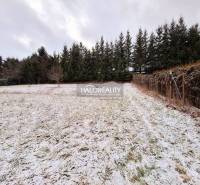 Potok Land – for living Sale reality Ružomberok